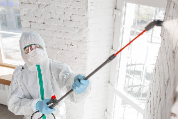 Best HVAC Mold Inspection and Cleaning  in Hoosick Falls, NY