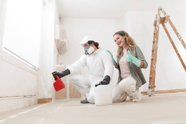 Professional Mold Removal in Hoosick Falls, NY